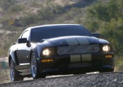 Shelby Cobra GT500 Show Car